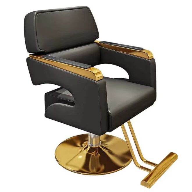 Salon Chair Hydraulic Chair for Business or Barber Shop - Image 3