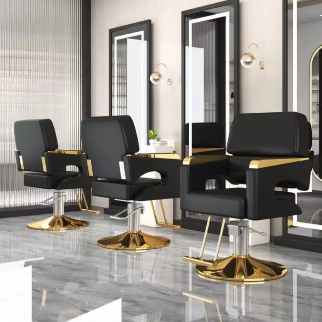 Salon Chair Hydraulic Chair for Business or Barber Shop - Image 2