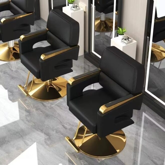 Salon Chair Hydraulic Chair for Business or Barber Shop