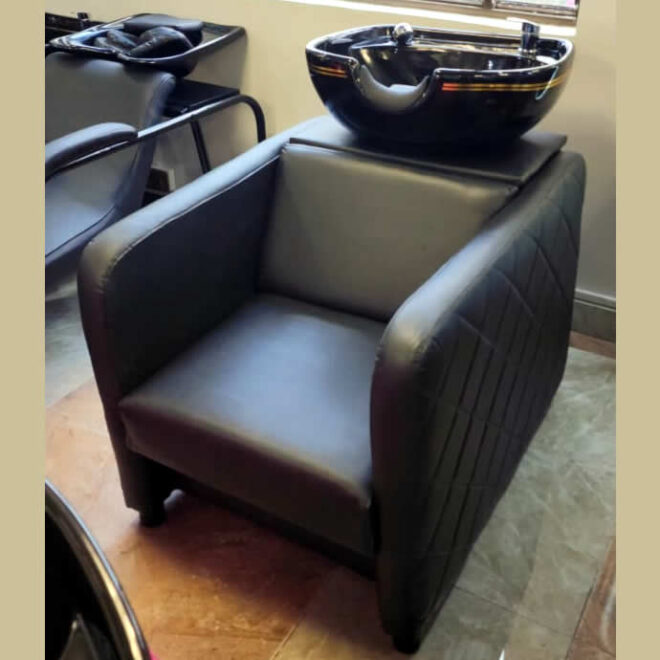 Shampoo Back Wash Unit With Sink